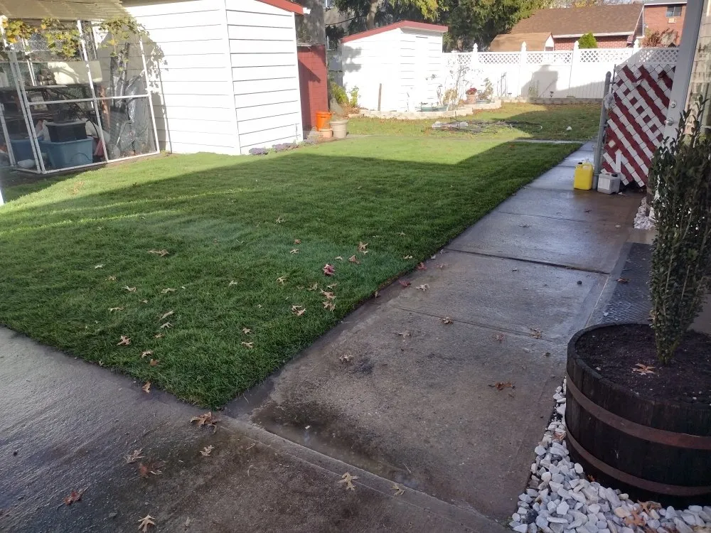 Top-rated garden landscaping experts serving Fresh Meadow, NY - David Landscaping Services