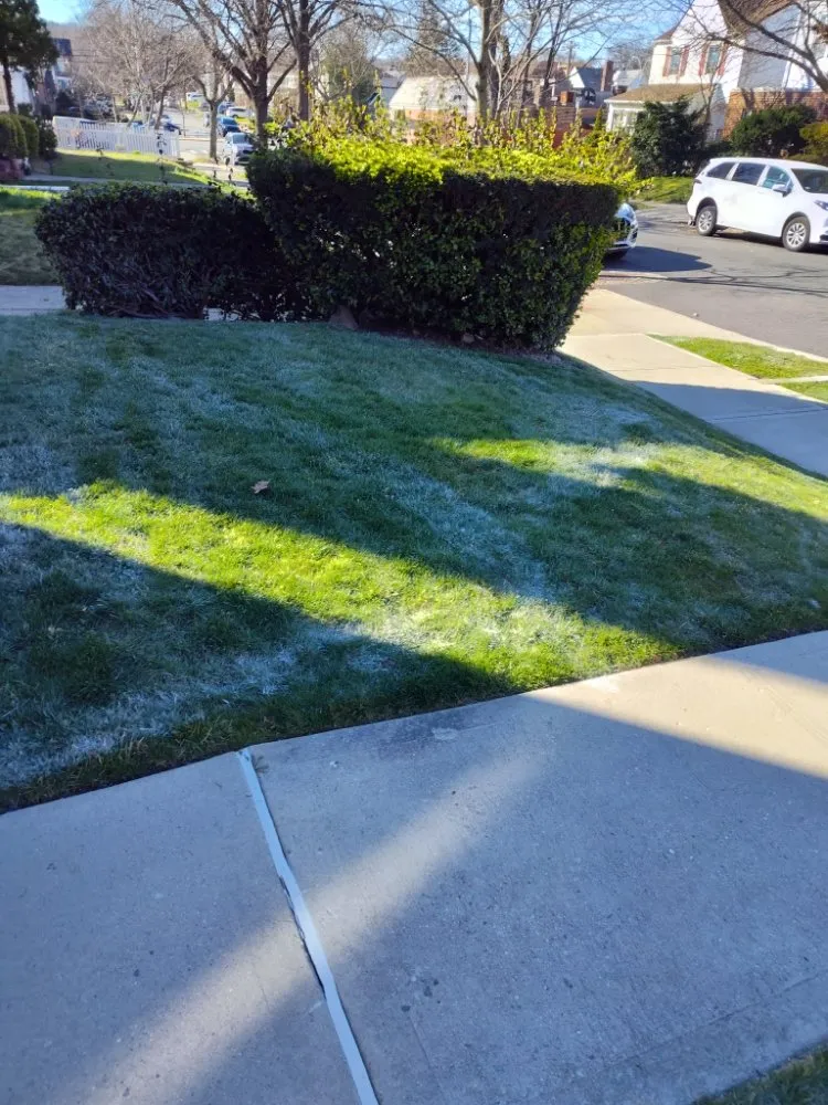 Trusted yard maintenance for beautiful yards in Fresh Meadow, NY by David Landscaping Services