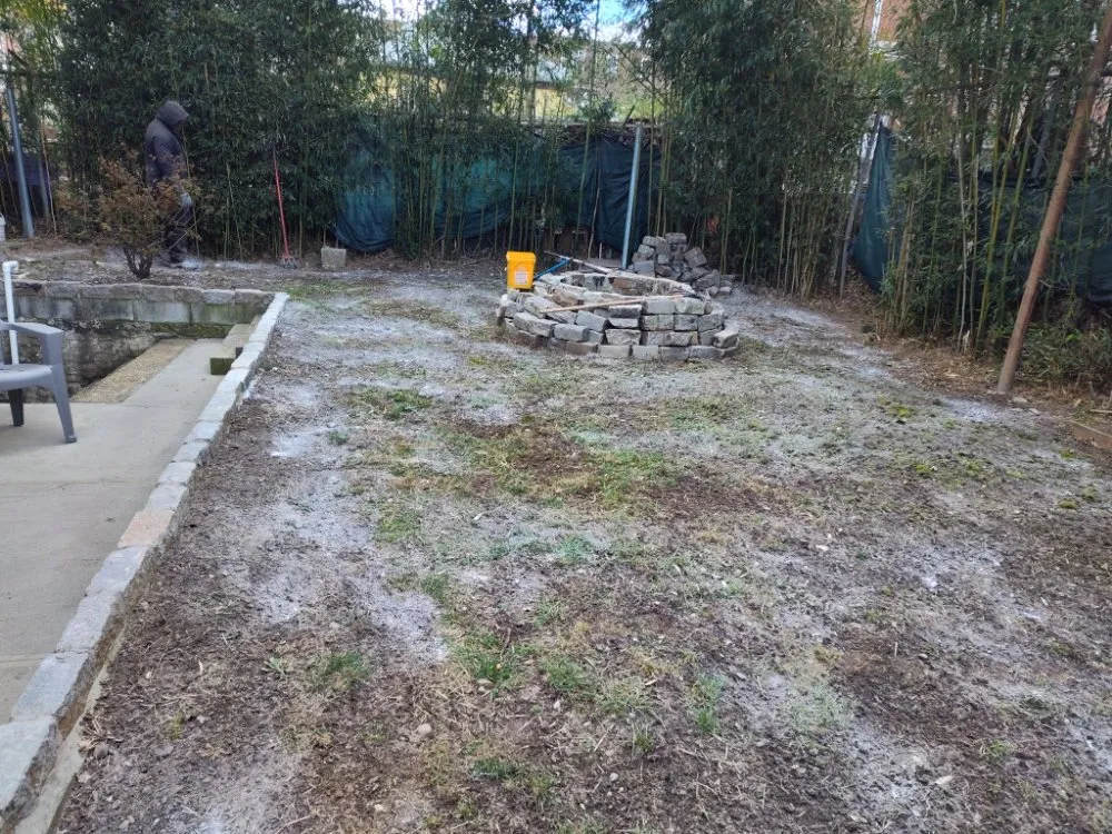 Trusted lawn care service in Fresh Meadow, NY - David Landscaping Services