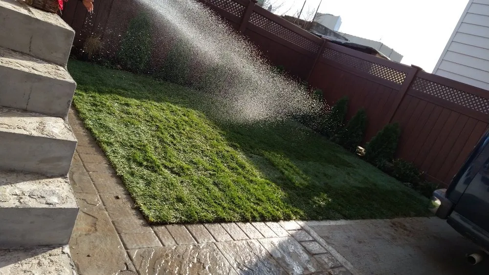 Expert yard cleanup service in Fresh Meadow, NY - David Landscaping Services