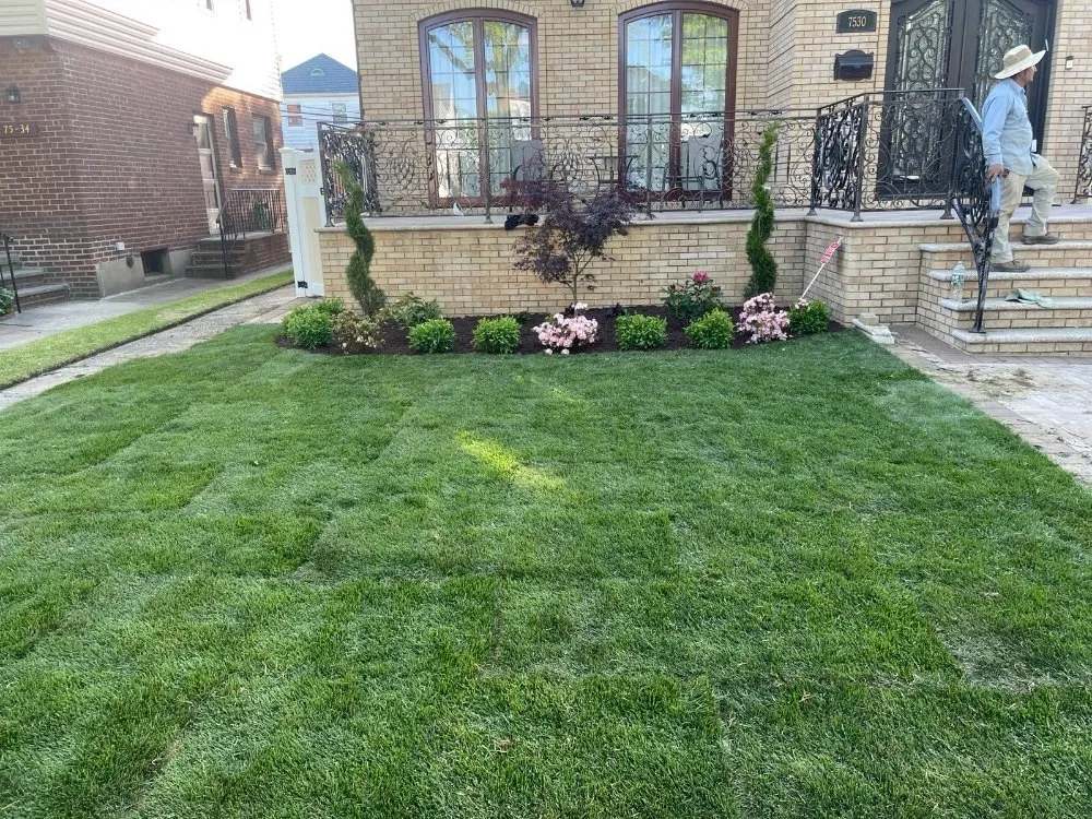 Trusted yard cleanup service experts serving Fresh Meadow, NY - David Landscaping Services
