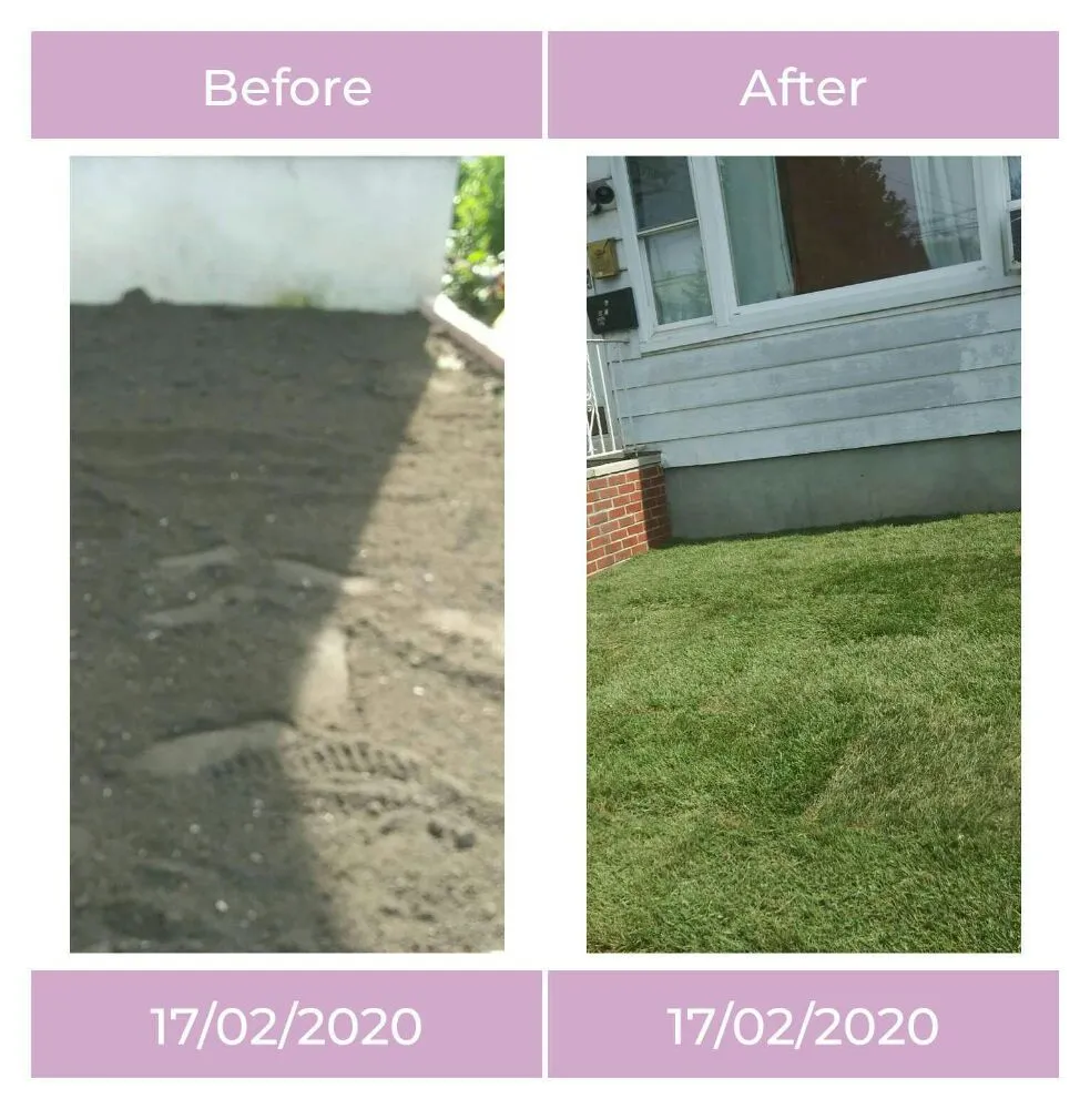 Reliable landscape installation in Fresh Meadow, NY by David Landscaping Services