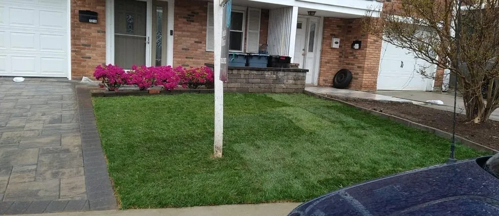 Expert yard maintenance in Fresh Meadow, NY by David Landscaping Services