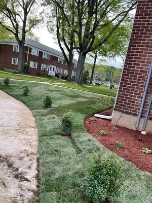 David Landscaping Services