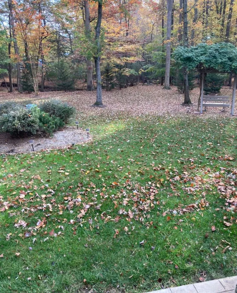 Affordable landscape installation in Silver Spring, MD by David Landscaping Services