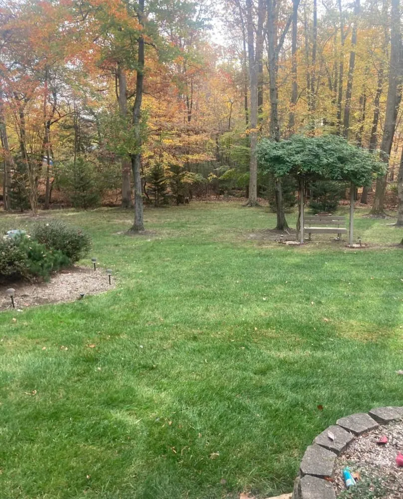 Affordable outdoor landscaping for homes in Silver Spring, MD by David Landscaping Services