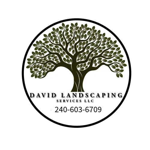 Custom outdoor landscaping for residential properties in Silver Spring, MD by David Landscaping Services