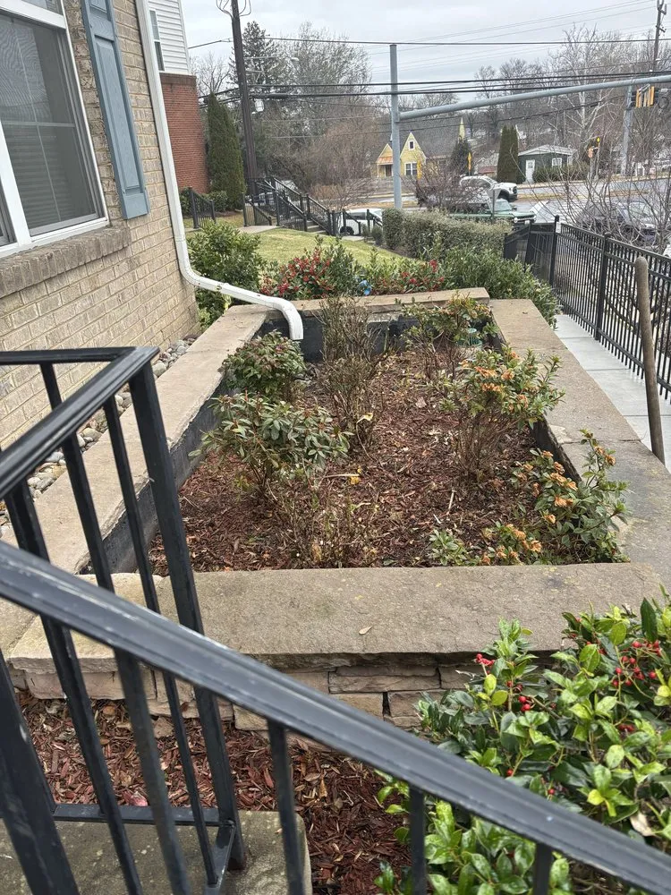 Expert landscaping services near you in Silver Spring, MD by David Landscaping Services