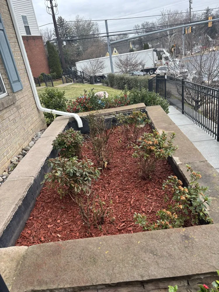 Professional lawn care service for residential properties across Silver Spring, MD - David Landscaping Services