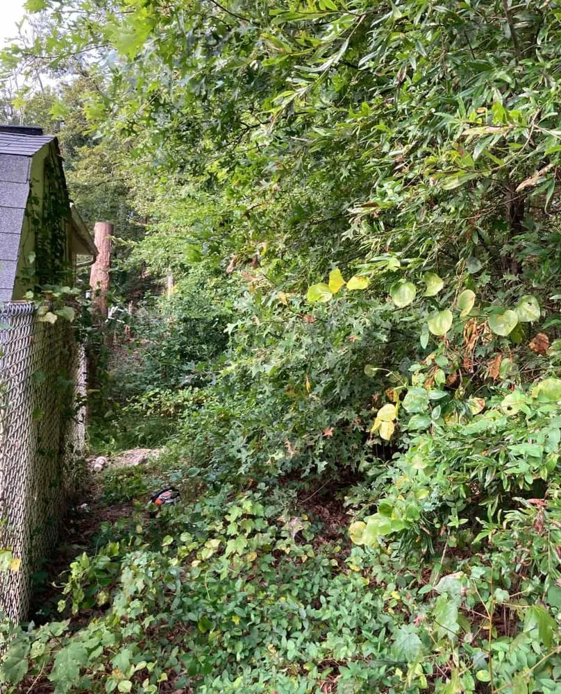 Custom yard maintenance experts serving Silver Spring, MD - David Landscaping Services