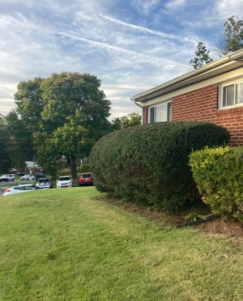 Local residential landscaping experts serving Silver Spring, MD - David Landscaping Services