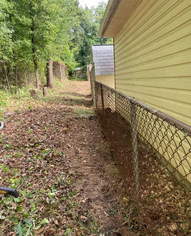 Trusted residential landscaping experts serving Silver Spring, MD - David Landscaping Services