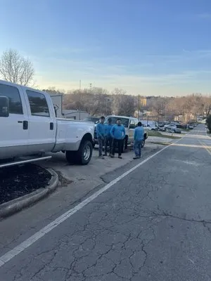 David Lawn Care & Maintenance Logo