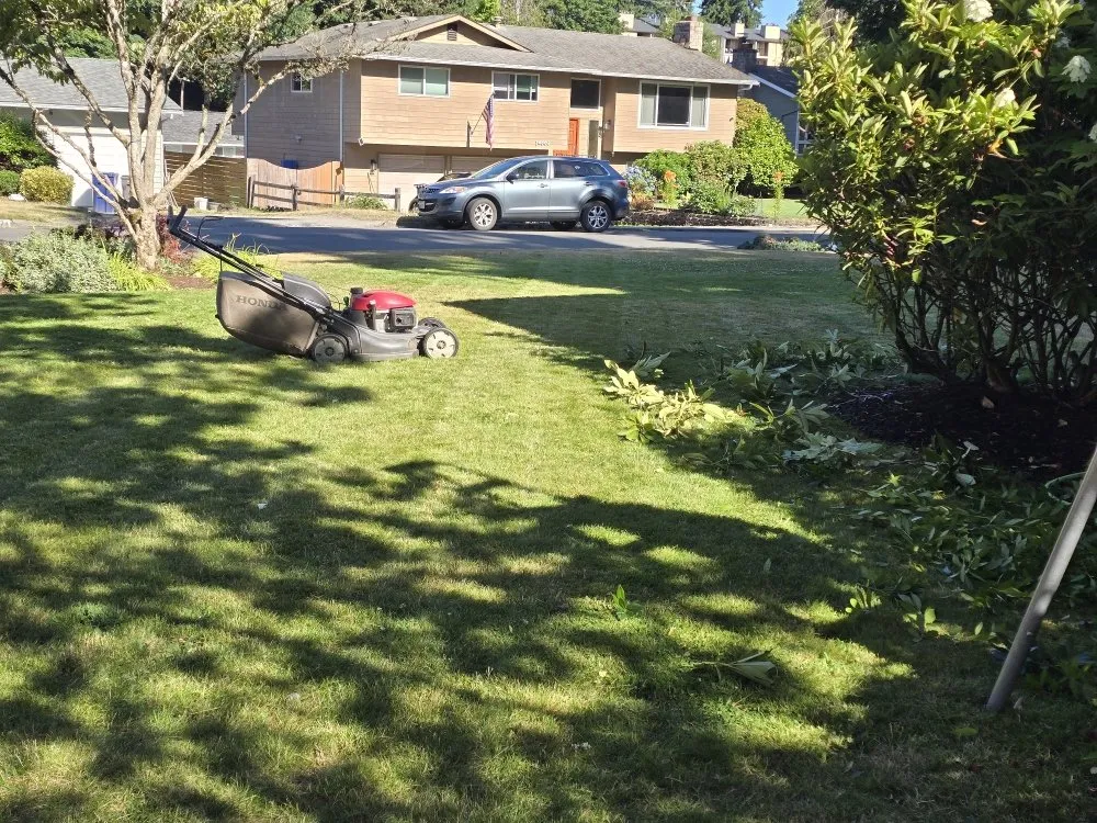 Professional landscaping services for beautiful yards across Everett, WA - David lawn care