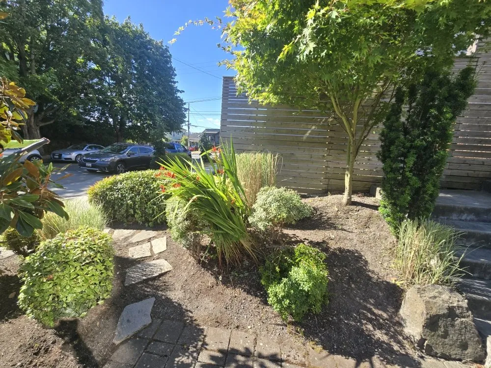 Local yard maintenance in Everett, WA by David lawn care