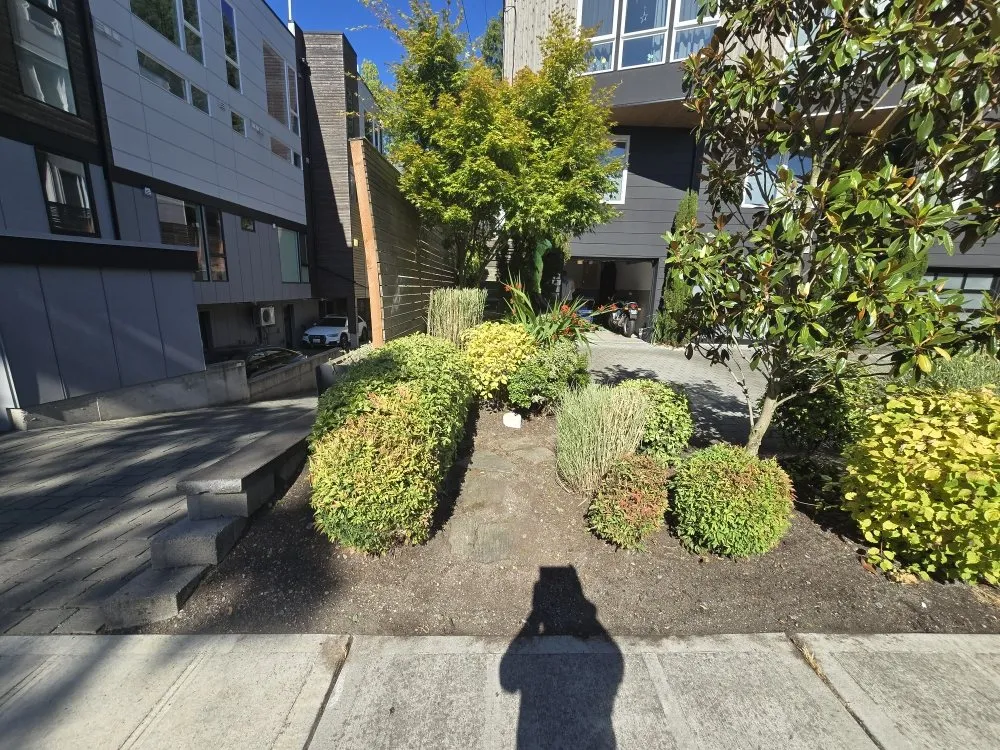 Local residential landscaping experts serving Everett, WA - David lawn care