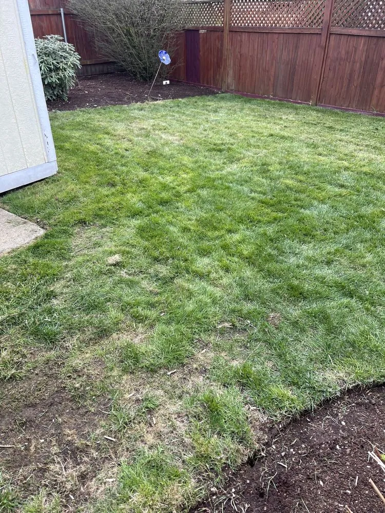Reliable landscape design in Kent, WA - David Links Landscaping