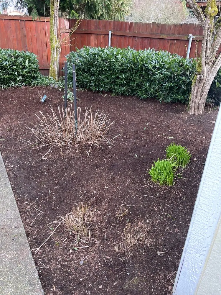 Expert outdoor landscaping in Kent, WA by David Links Landscaping