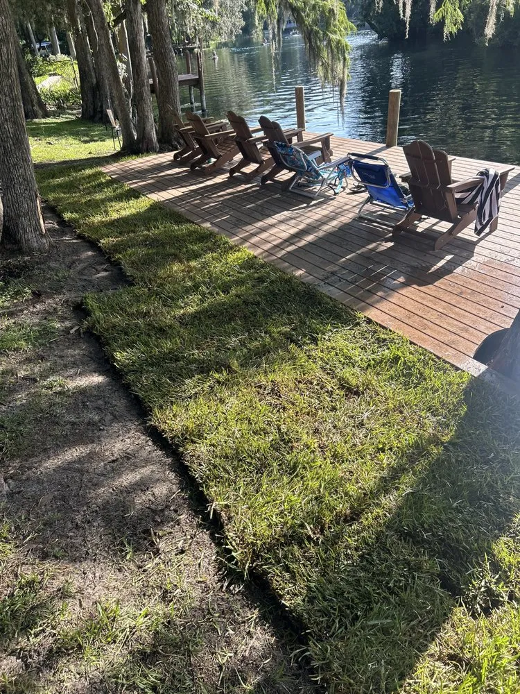 Reliable yard cleanup service experts serving Dunnellon, FL - David Matthews Lawn Service