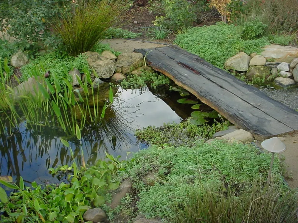 Local garden landscaping for homes in Santa Barbara, CA by David Michael Frantz Landscape