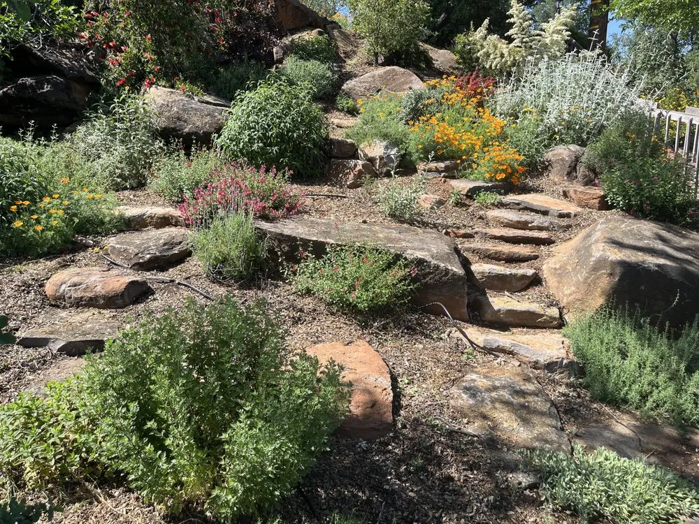 Expert garden landscaping with custom design in Lower Lake, CA by David Mudge Gardens