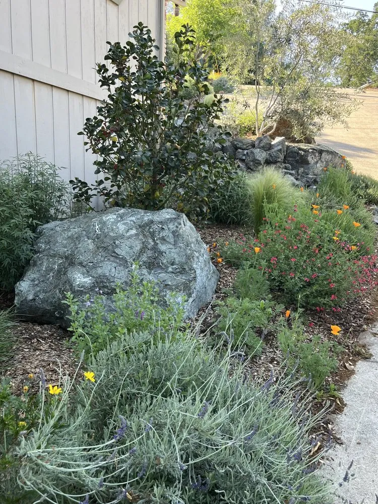 Custom lawn care service experts serving Lower Lake, CA - David Mudge Gardens