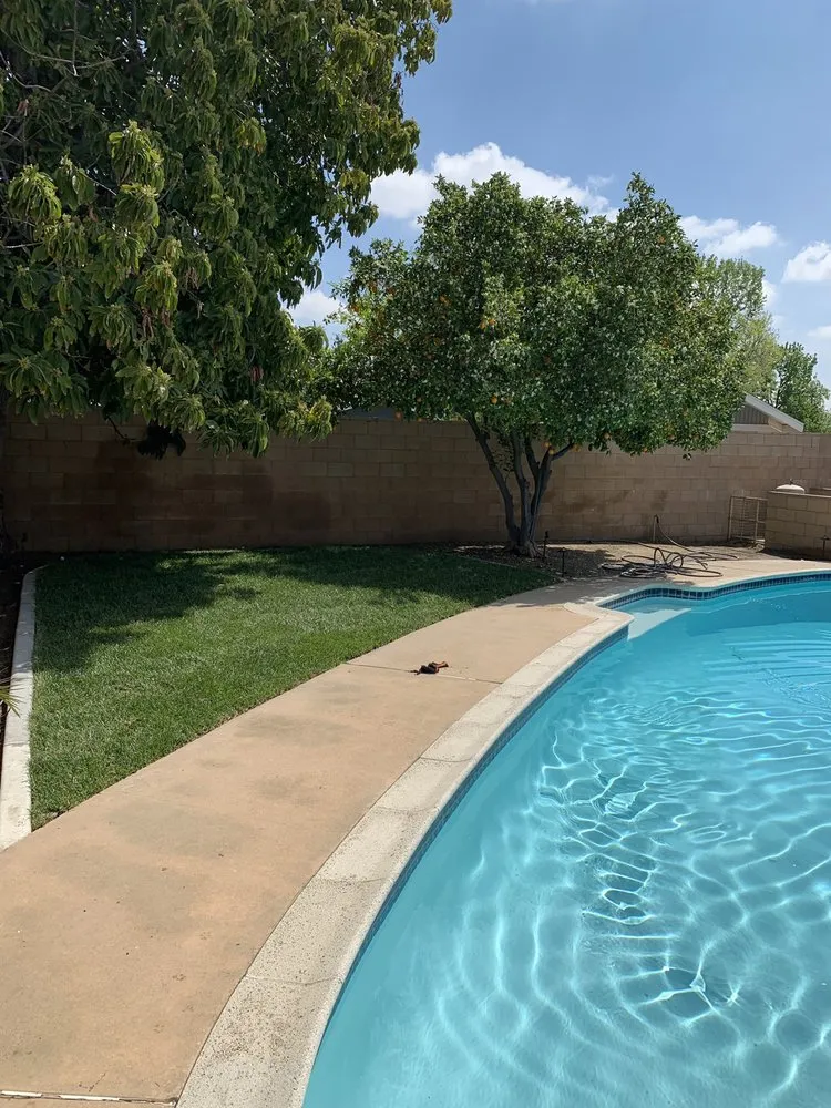 Professional residential landscaping for year-round maintenance in Redlands, CA by David Ollis Landscape Development