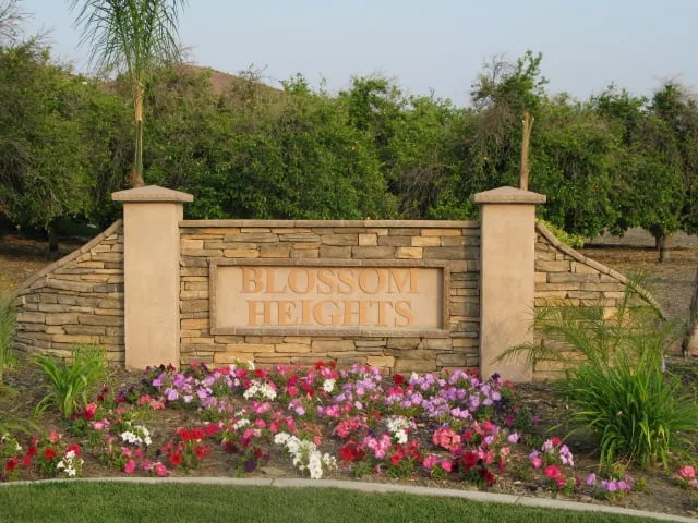 Professional outdoor landscaping experts serving Redlands, CA - David Ollis Landscape Development
