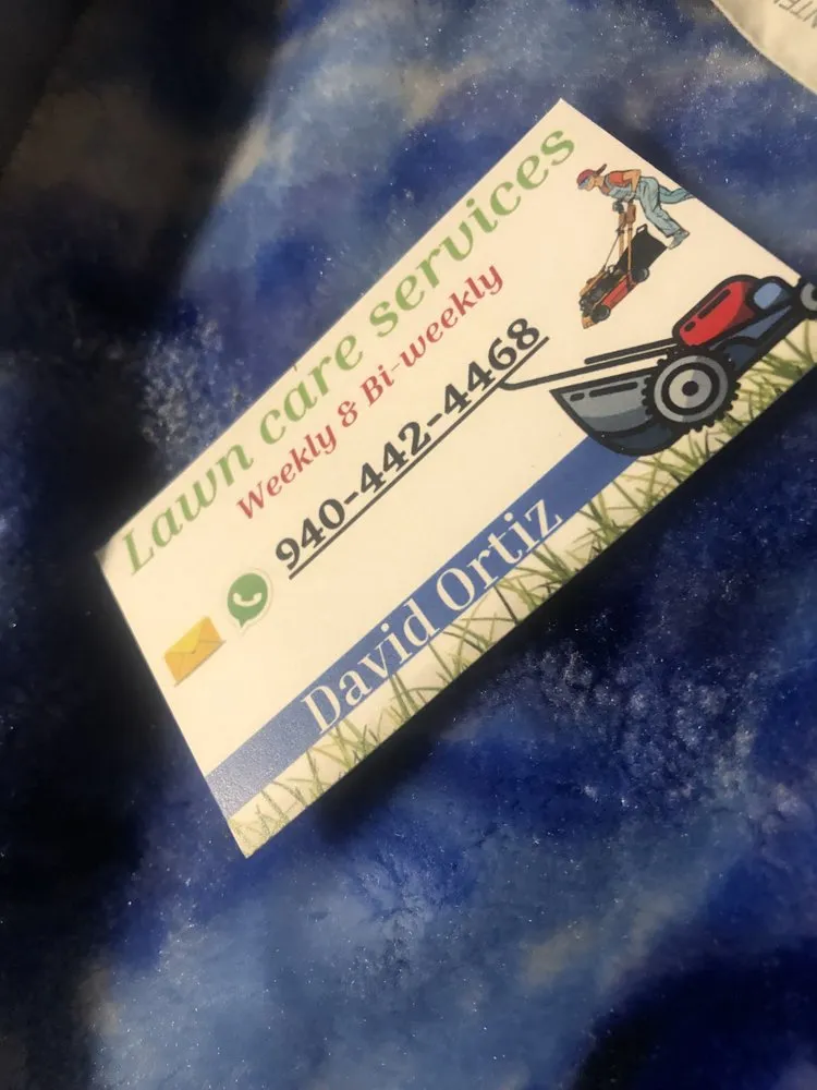 Affordable lawn care service experts serving Anna, TX - David Ortiz