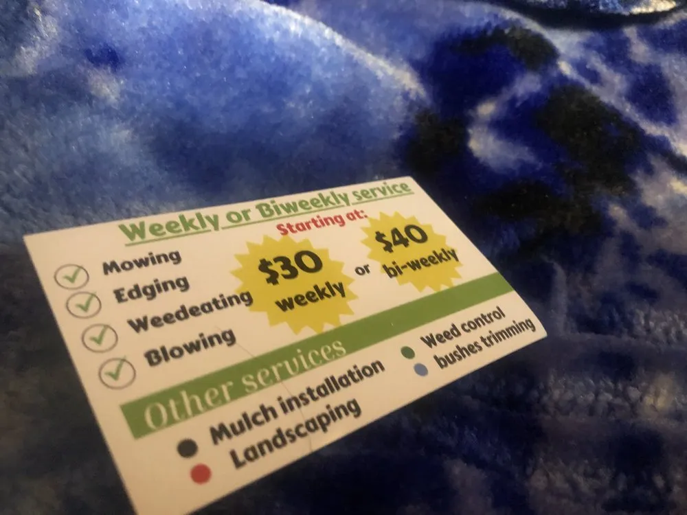 Affordable outdoor landscaping in Anna, TX by David Ortiz