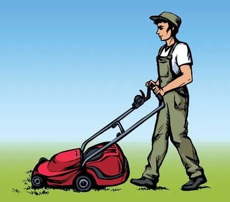 Custom yard cleanup service in Anna, TX - David Ortiz