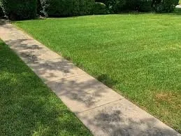 Affordable yard cleanup service for outdoor upgrades in Anna, TX by David Ortiz