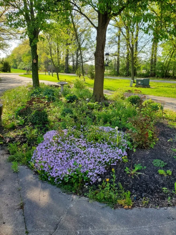 Top-rated garden landscaping experts serving Lima, OH - David Peters