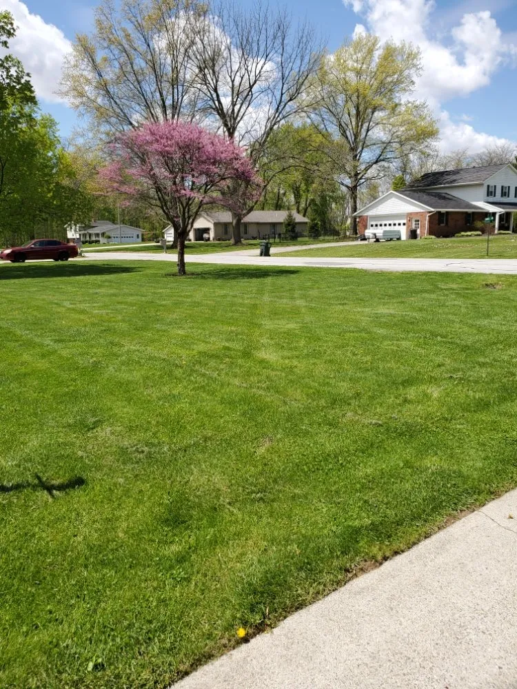 Trusted yard maintenance experts serving Lima, OH - David Peters