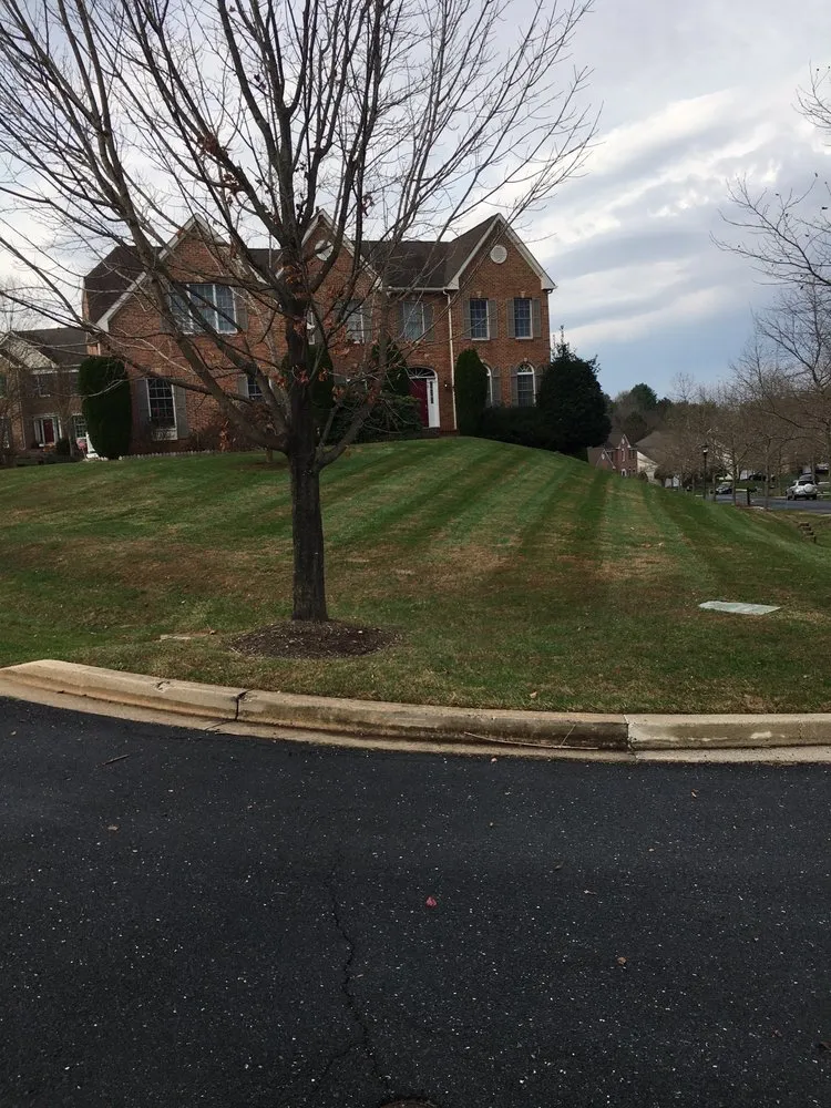 Affordable yard cleanup service experts serving Gaithersburg, MD - David Ramos Landscaping