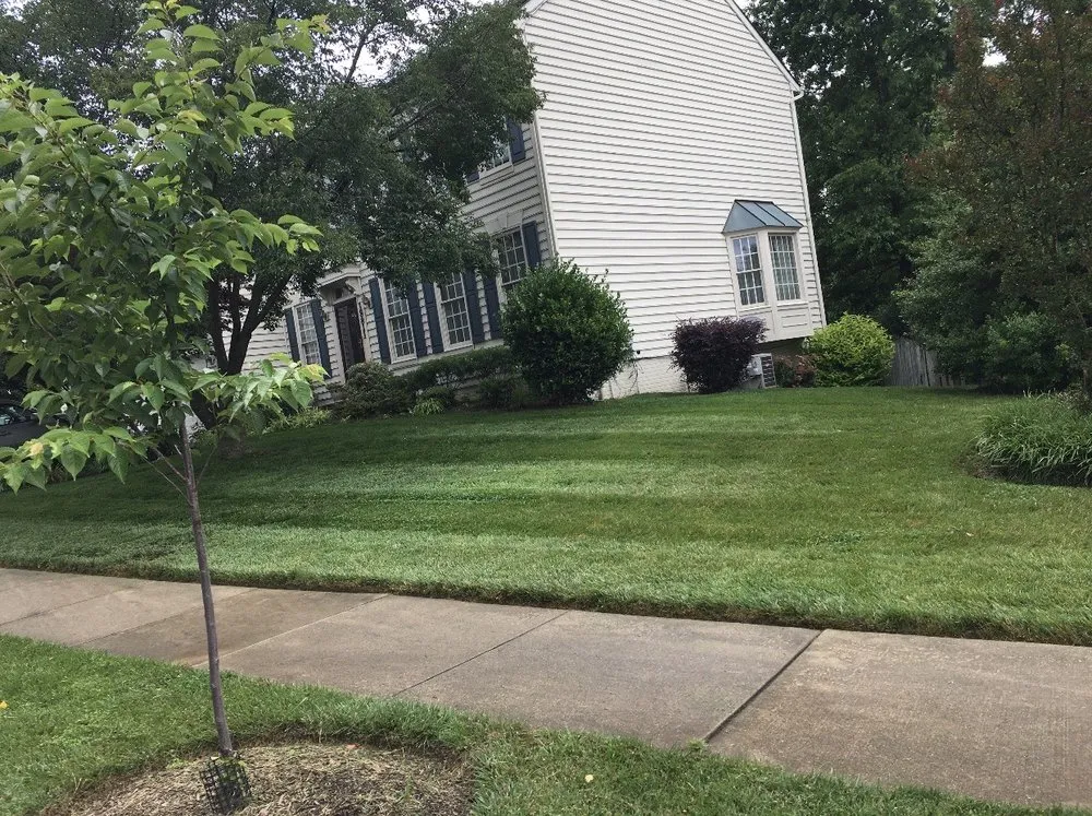 Top-rated landscaping services for outdoor upgrades across Gaithersburg, MD - David Ramos Landscaping