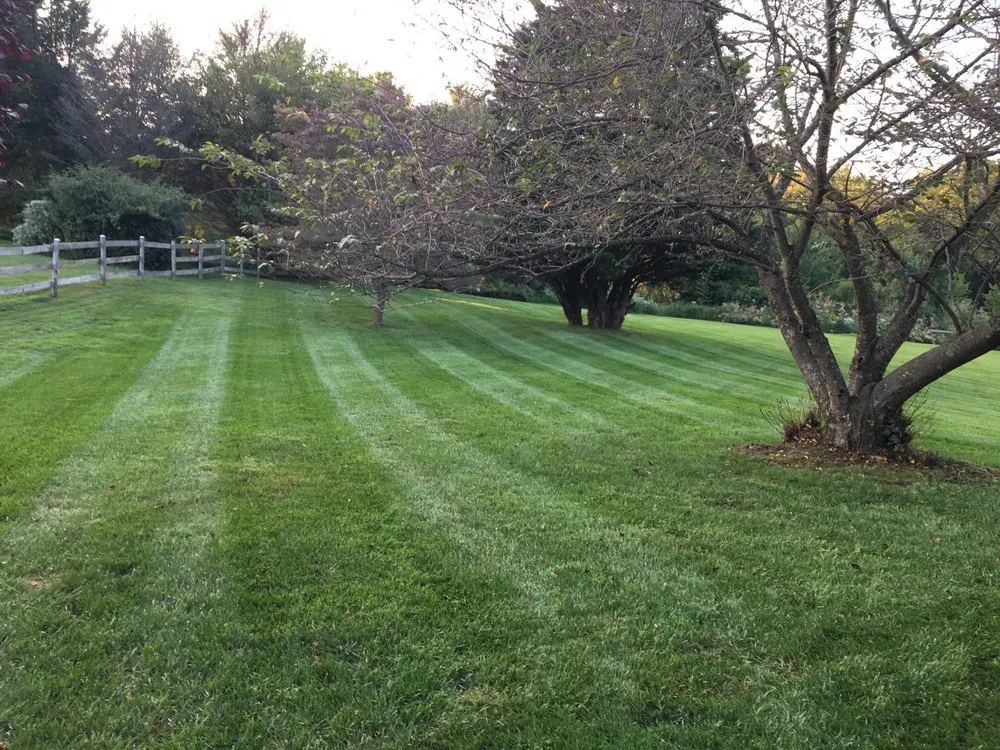 Affordable outdoor landscaping with custom design across Gaithersburg, MD - David Ramos Landscaping