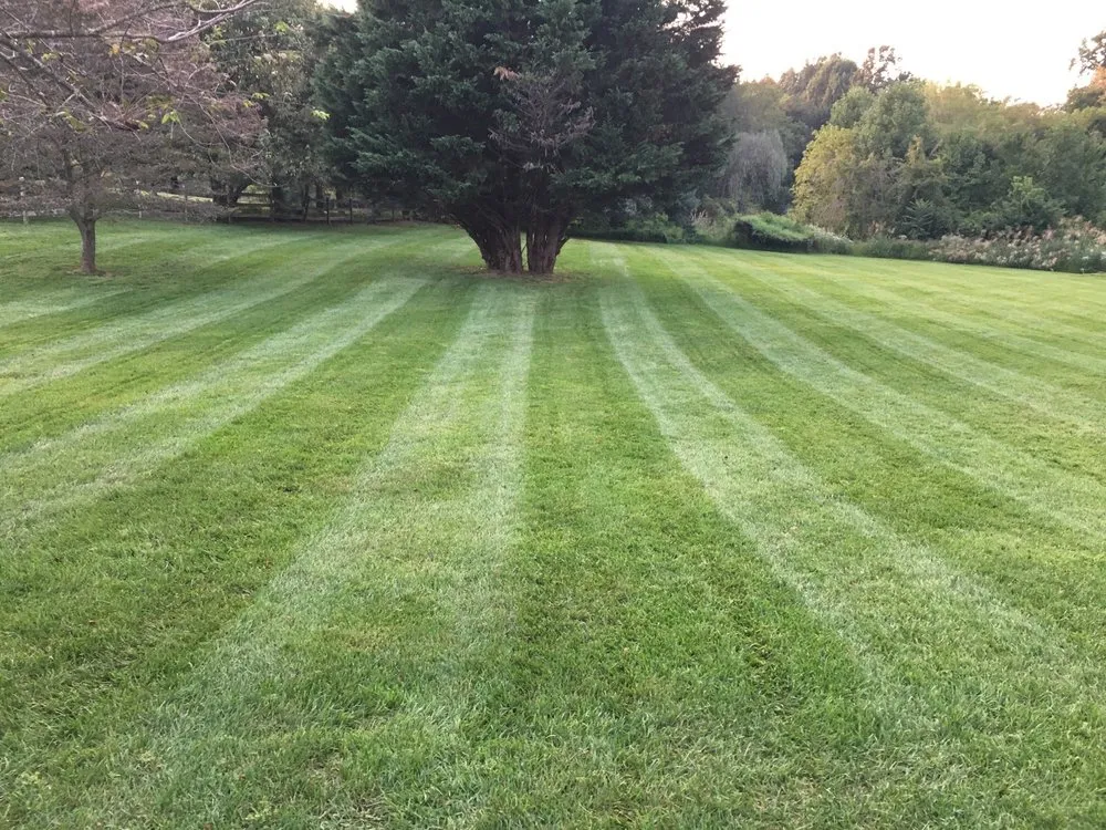 Local outdoor landscaping experts serving Gaithersburg, MD - David Ramos Landscaping