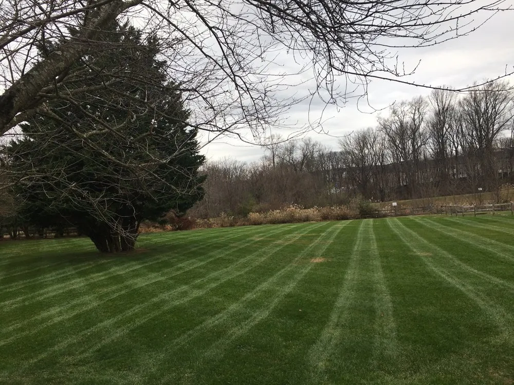 Reliable lawn mowing service experts serving Gaithersburg, MD - David Ramos Landscaping