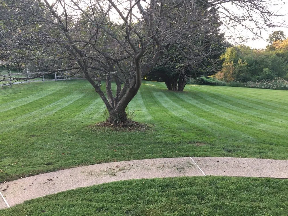 Reliable lawn care service near you across Gaithersburg, MD - David Ramos Landscaping