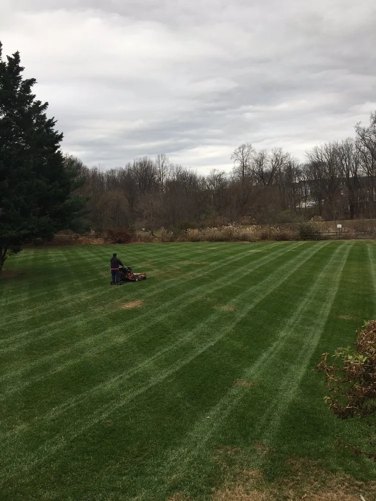 Professional outdoor landscaping in Gaithersburg, MD - David Ramos Landscaping