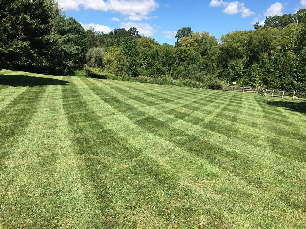Reliable lawn care service for year-round maintenance in Gaithersburg, MD by David Ramos Landscaping