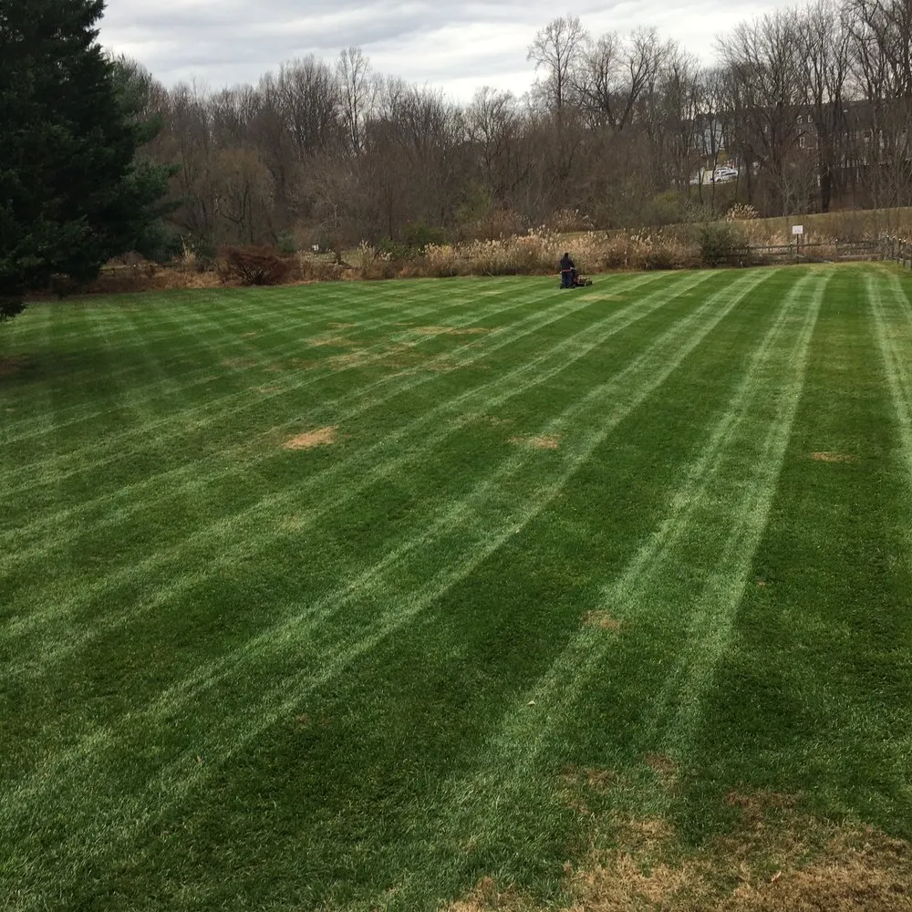 Top-rated lawn mowing service for residential properties across Gaithersburg, MD - David Ramos Landscaping