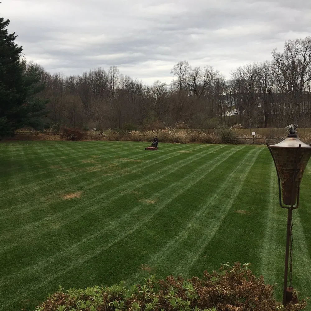 Trusted landscaping services experts serving Gaithersburg, MD - David Ramos Landscaping
