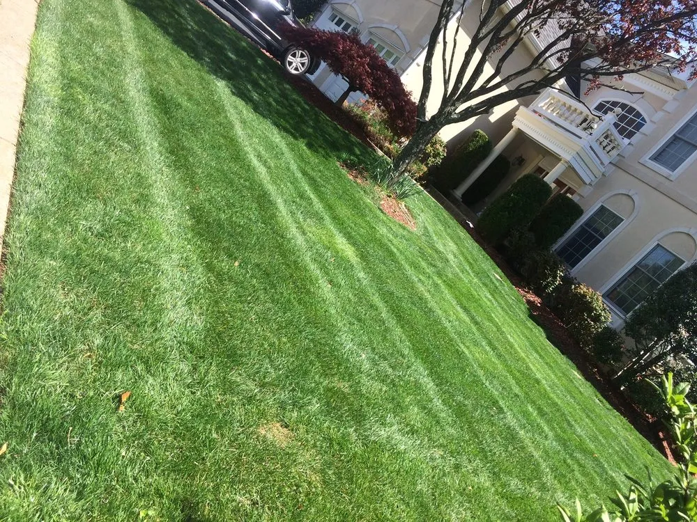 Professional landscape design for beautiful yards across Gaithersburg, MD - David Ramos Landscaping