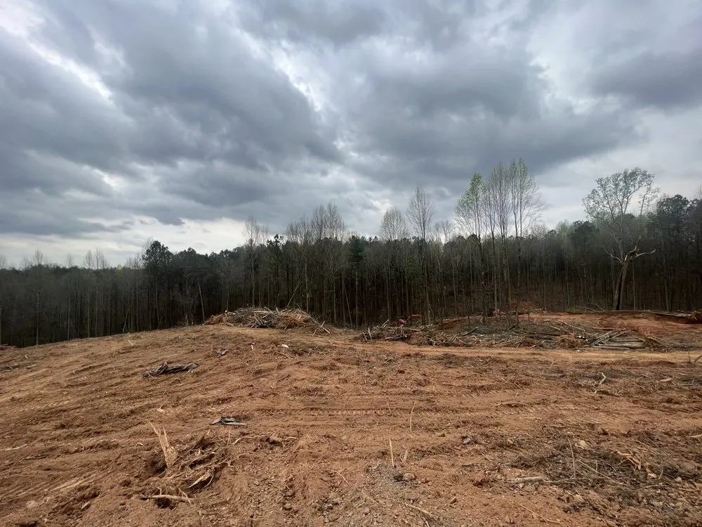 Affordable yard maintenance in Ellijay, GA - David Ray Services