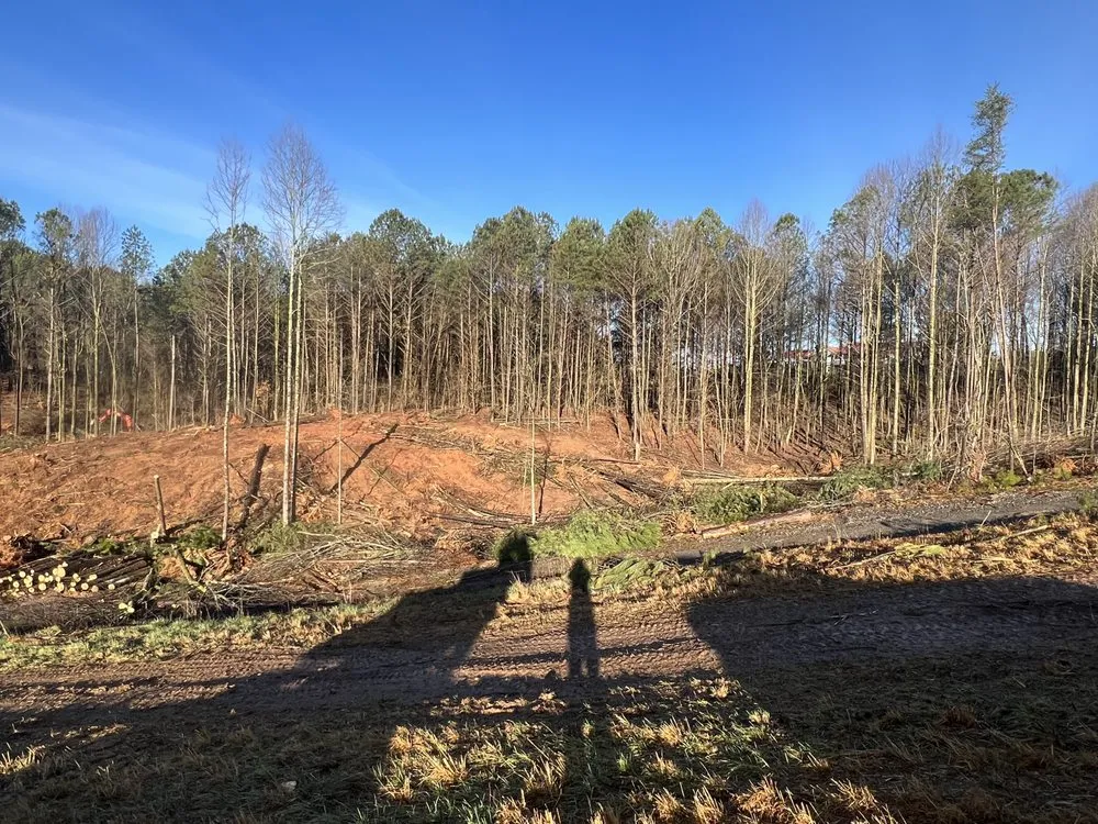 Trusted residential landscaping for homes across Ellijay, GA - David Ray Services