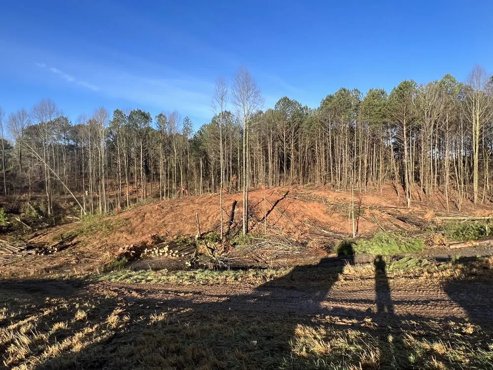 Reliable landscaping services experts serving Ellijay, GA - David Ray Services