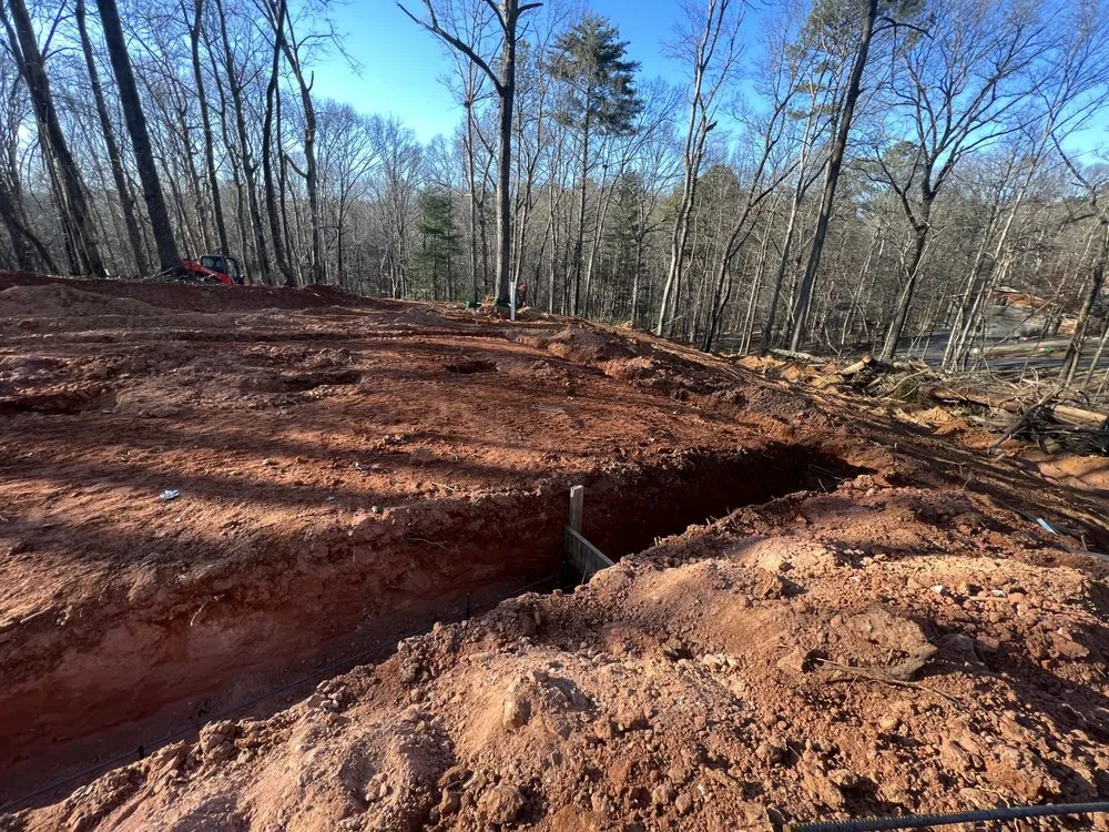 Expert lawn mowing service for year-round maintenance across Ellijay, GA - David Ray Services