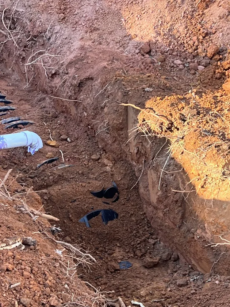 Expert outdoor landscaping for year-round maintenance in Ellijay, GA by David Ray Services